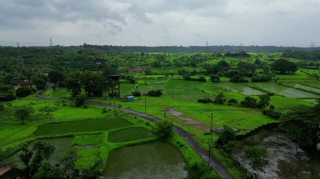 Beautiful Monsoon Countryside With Rice Fields and Small Home in Maharashtra