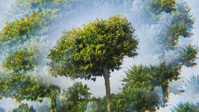 Central green tree surrounded by layered translucent foliage and repeated tree forms, creating surreal multiple exposure effect with colorful optical distortion