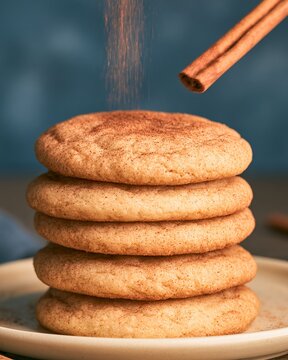 Snickerdoodle Cookies Stack Cinnamon Powder Shaker