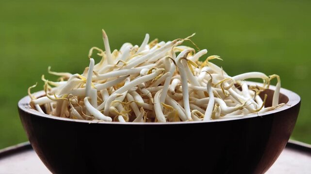 Fresh bean sprouts arranged in a natural wooden bowl