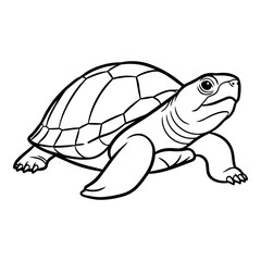 Fototapeta premium Black and white illustration of a turtle, isolated on white background, simple line art