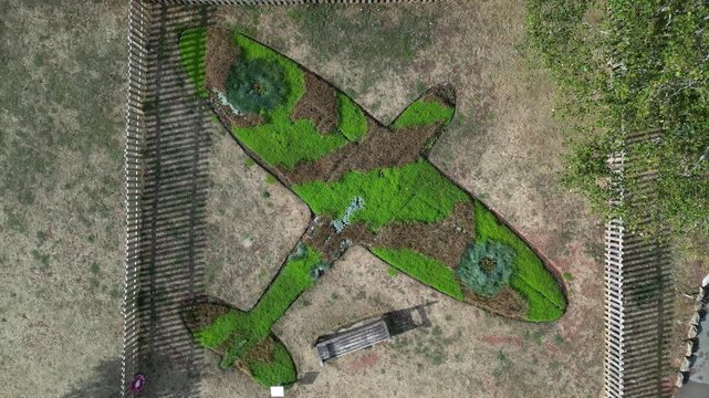 Paignton, Devon, England: DRONE VIEWS: A floral arrangement in the shape of a Spitfire in honour of RAF pilot, Flight Lt Frederick Denston. The surrounding grass has been burnt in the 2026 drought.