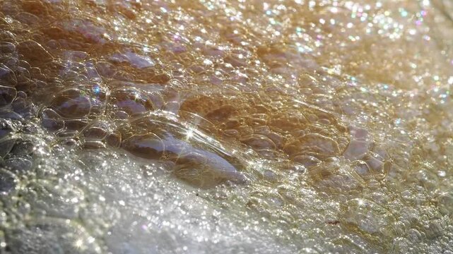Cluster of yellowish-white foam floats on the dark water surface against the edge of a plastic container this is a frog egg mass or foam nest.