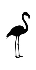 Obraz premium Silhouette of a graceful flamingo standing tall.