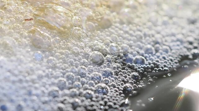 Cluster of yellowish-white foam floats on the dark water surface against the edge of a plastic container this is a frog egg mass or foam nest.