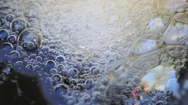 Cluster of yellowish-white foam floats on the dark water surface against the edge of a plastic container this is a frog egg mass or foam nest.