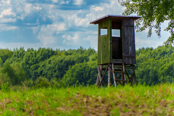 wieża © Damian