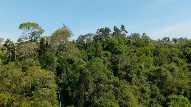 Subtropical woodland, grassland and rolling hills spread across rural Nueva Alborada, Itapua, Paraguay, South America, showing a mosaic of Atlantic Forest vegetation and farmland, drone forward flyove
