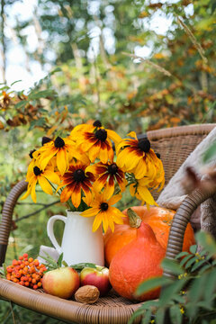 Autumn still life with yellow rudbeckia flowers, bright pumpkins, apples and knitted blanket on chair in garden