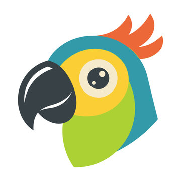 Colorful Parrot Head Illustration With Bright Feathers