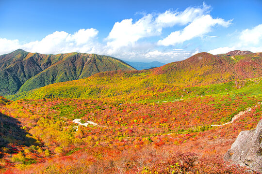 栃木県那須郡那須町　秋の紅葉に染まる茶臼岳から見る姥ヶ平