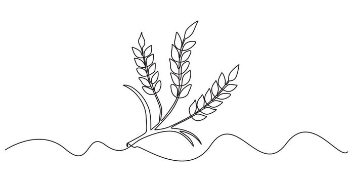 Animated self drawing of Ears of wheat one continuous line drawing .Fall harvest line art. Vector one line of spikelet . Thanksgiving symbol.Grain, One continuous line.pro