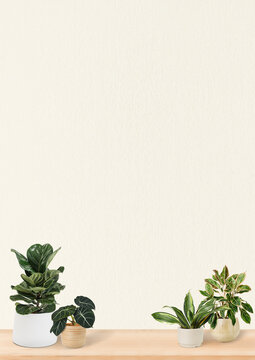 Plants on shelf background design