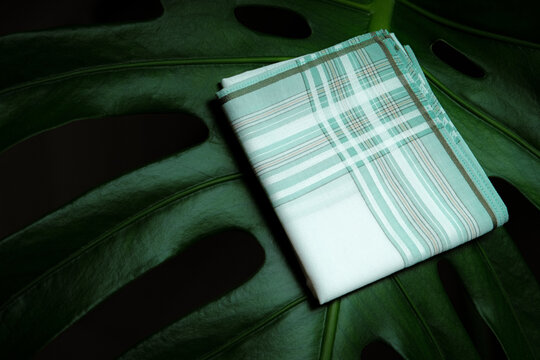 Neatly folded mint green and white plaid cotton handkerchief resting on a large tropical Monstera leaf with low-key dramatic lighting.