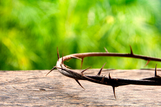Crown of Thorns on a wooden Cross representing Christianity faith.