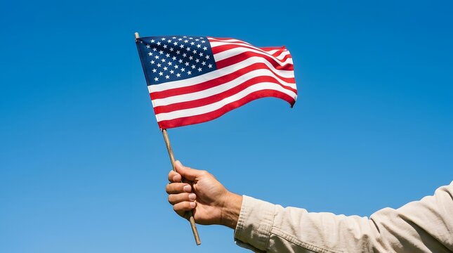 Honoring the brave a solemn remembrance of veterans day celebrating the service and sacrifice of all who have defended our nation's freedoms