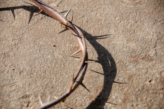 Top view of crown of Thorns representing Christianity faith and with customizable space for text.