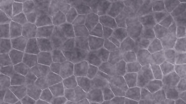 Dry Salt Lake Polygon Crust Slowly Reforming Its Raised Rims, Seamless Loop in calm mauve tones