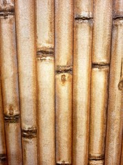 A background photo showing the texture of a wall or fence made of dried bamboo stalks arranged vertically. The surface is yellowish-brown, featuring the natural nodes and gra © Raka