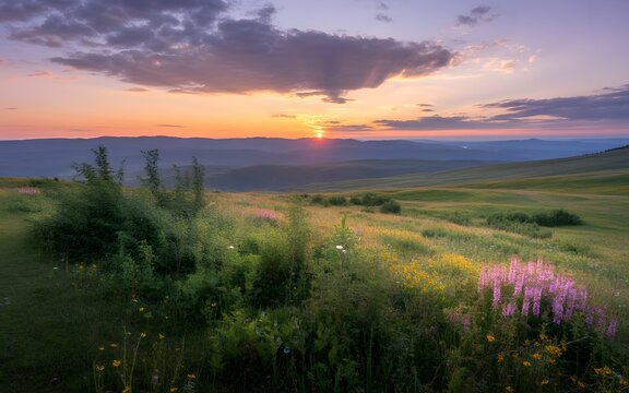 Radiant golden sunset illuminates a vast rolling meadow filled with vibrant wildflowers and distant blue mountains under a dramatic purple sky captured in this high resolution wide angle nature photog