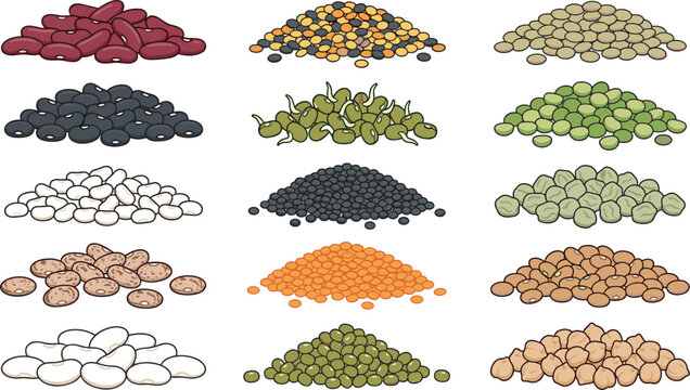 Legume and Lentil Heap Icon Set with Kidney Bean Green Pea and Chickpea Symbols for Organic Food Packaging