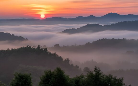 Vibrant golden sunrise illuminates rolling mountain peaks emerging from thick white misty clouds during early morning calm atmosphere captured in this breathtaking wide angle high resolution professio
