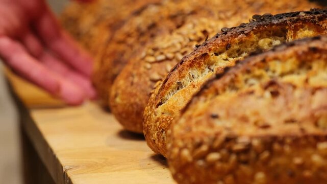 Seller arranges fresh warm loaves in perfectly straight line across counter. Bakery worker creates orderly and attractive presentation