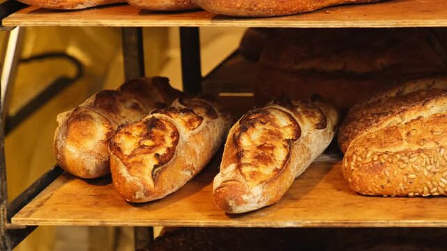 Freshly baked aromatic loaves of bread rest on wooden shelves in cozy bakery. Appetizing and delicious aroma fills charming bakery