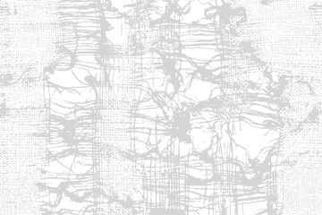 Fototapeta premium Textured organic abstract overlay with intricate lines and subtle grunge effect in a monochromatic palette for graphic design backgrounds
