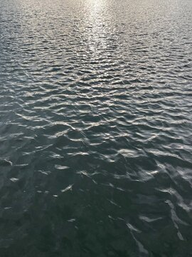 reflection in water