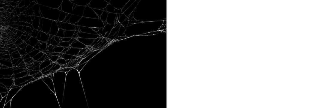 Realistic cobweb PNG with black preview and transparent version for creepy layouts, Halloween posters and dark visual compositions.