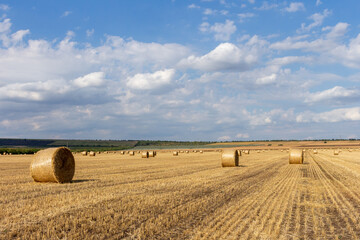 Bales of hay in a field © parpalac