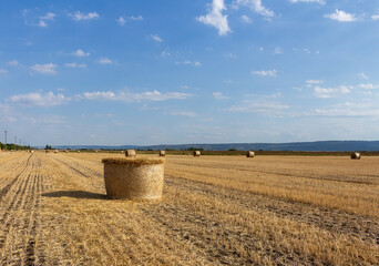 A bale of hay in a field © parpalac