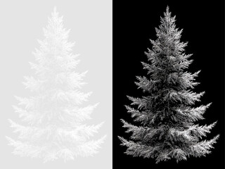 Fototapeta premium Hand drawn spruce tree sketch on transparent and black backgrounds. White line art evergreen pine tree illustration. Christmas holiday design element