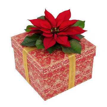 Christmas gift box with red poinsettia flower, festive holiday present, floral gift wrap