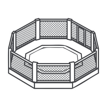 Empty Octagon Fighting Cage Ring for Mixed Martial Arts Sport Competition