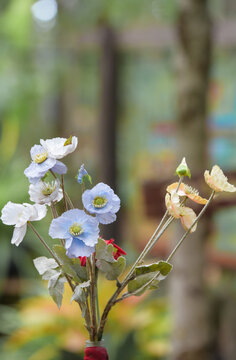 The flowers in the vase are blooming beautifully.