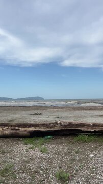Polluted rocky beach with driftwood log and plastic bottle