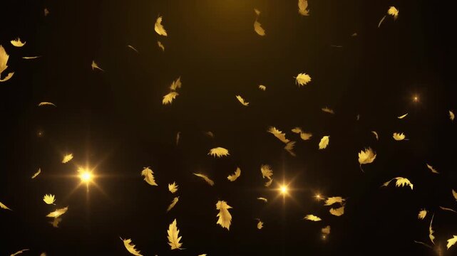 舞い散る金箔の黒背景ループ背景動画