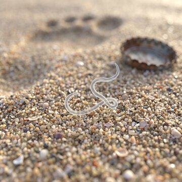 Macro photo of a small parasitic worm on a sandy beach