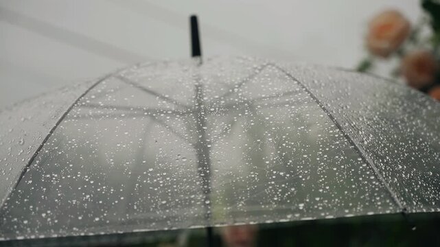Raindrops fall on a transparent umbrella under which people are standing. The drops are filmed in slow motion. A