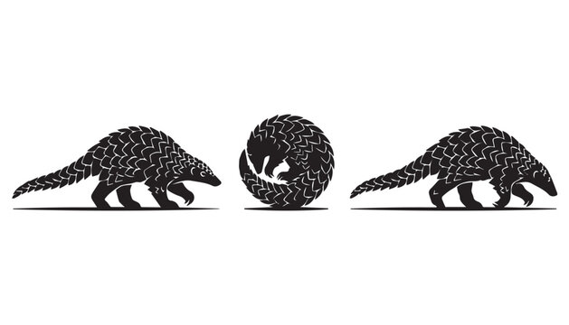 black color silhouette set of three Pangolin vector illustration, solid white background