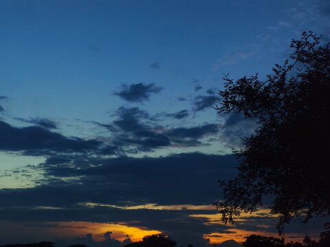"Whispers of Twilight: A Golden Goodbye" - A breathtaking sunset paints the sky in deep blues, fiery golds, and soft shadows, framed beautifully by the silhouette of a tree.