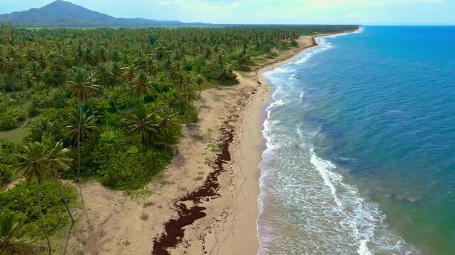 Blue ocean surface at idyllic sandy natural tropical island with lush green palm trees on the beach. Summer vacation at the equator. Palm trees in a Caribbean landscape. A trip to a tropical paradise.