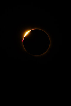 Diamond ring and solar prominences during a total solar eclipse