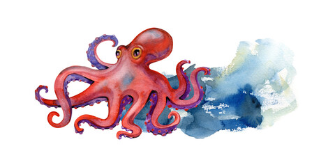 Watercolor red octopus swimming with a blue ocean wave splash sea life illustration © Natali_Mias