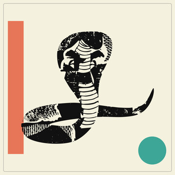 High contrast black grime print of a hooded cobra with distressed textures and white belly segmentation. Framed by a vertical salmon rectangle on the left and a teal dot at bottom right against cream