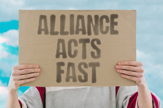 "Alliance acts fast" Leaders respond to reckless hostile actions. ALLIANCE. ACTS. FAST. RECKLESS. RESPOND.