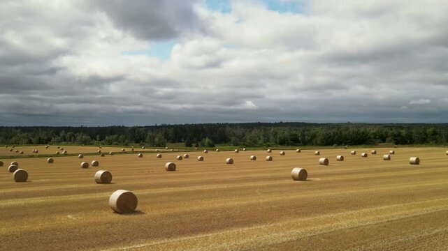 Drone flight over harvested field with straw bales in PEI, Canada
