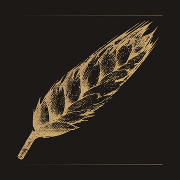 stippled wheat ear, also called a corn stalk or cereal, in dotted halftone style. This rustic grain head suits harvest themes, bakery marks, and craft beer branding with vintage charm.